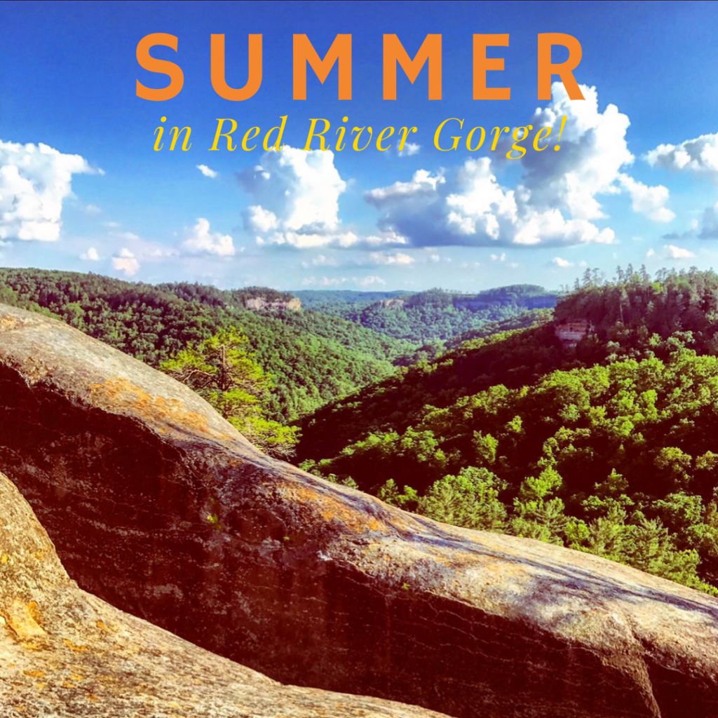 Summer in Red River Gorge